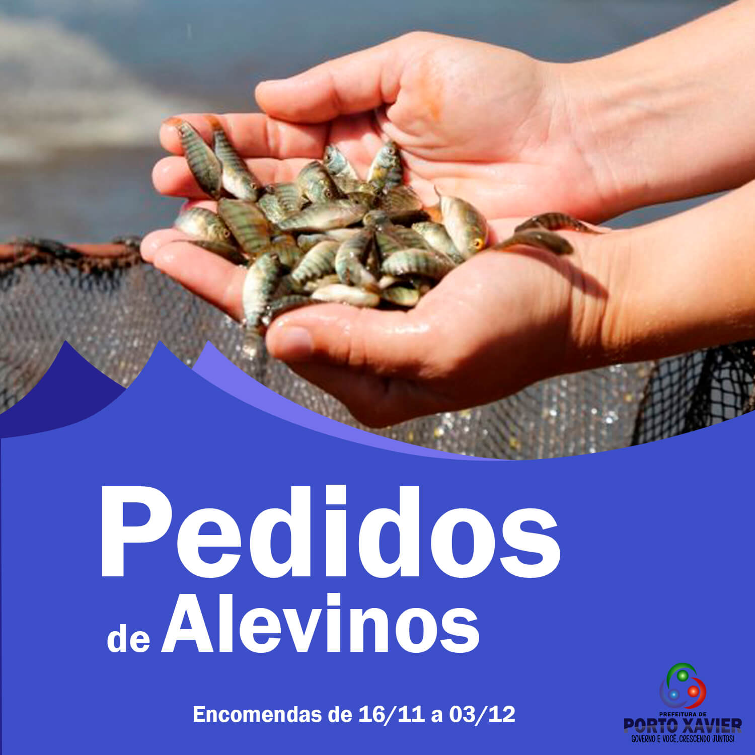 ENCOMENDA DE ALEVINOS